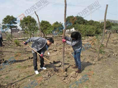 2012.3.12中成泵業(yè)植樹節(jié)活動報(bào)道